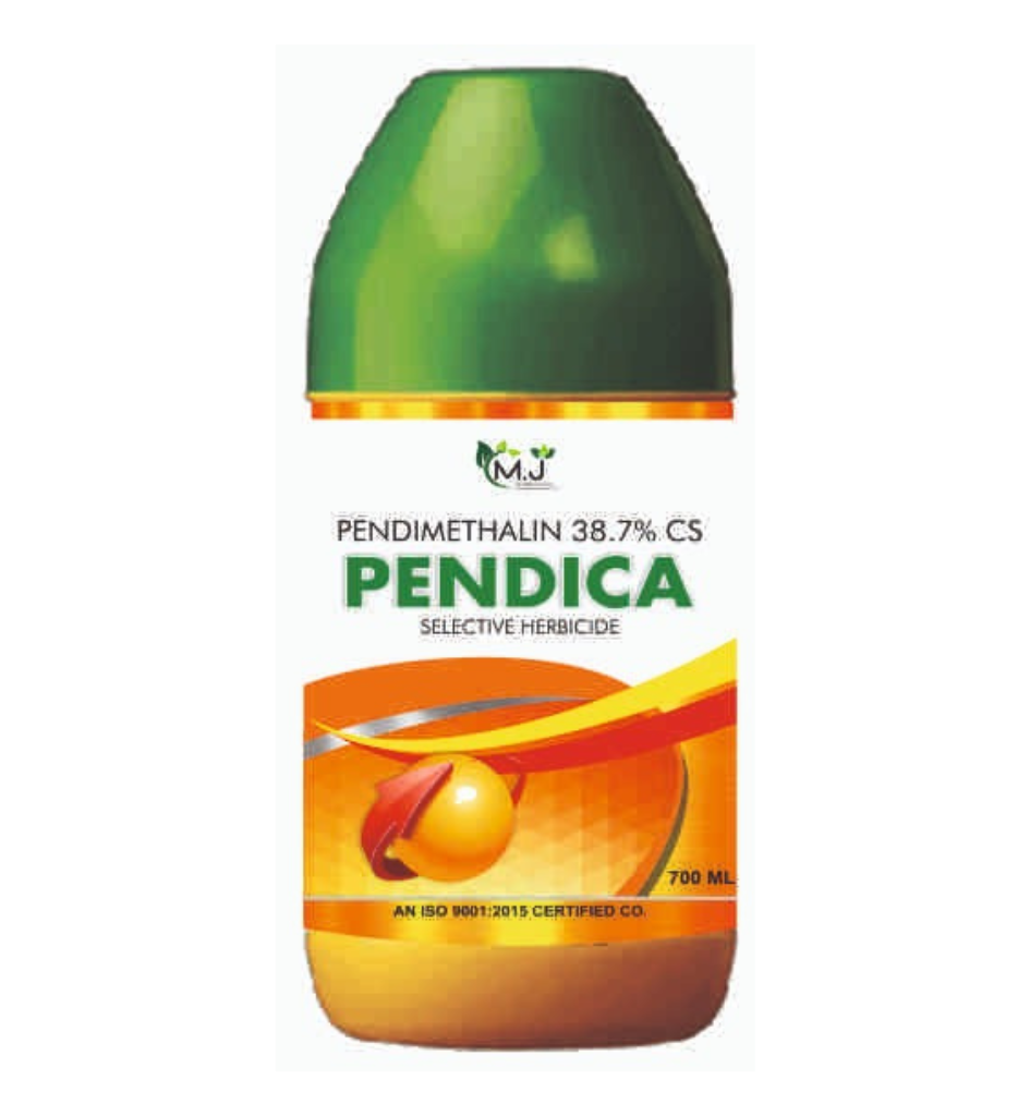 PENDICA