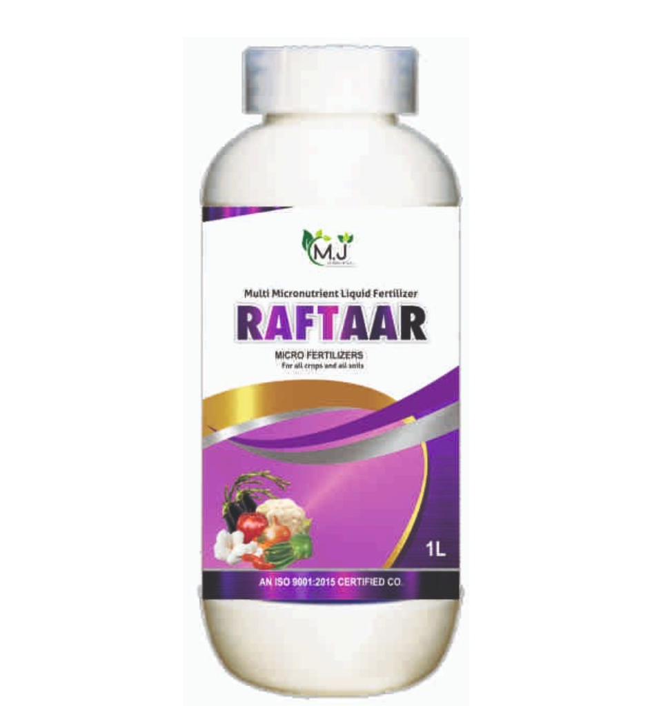 RAFTAAR